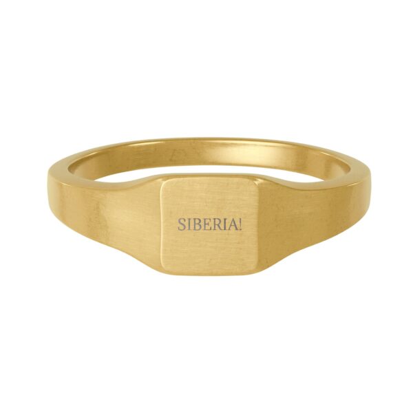 Gold Stainless Steel Square Signet Ring — Custom Engraved Personalizable Jewelry