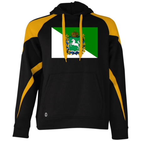 229546 Athletic Colorblock Fleece Hoodie