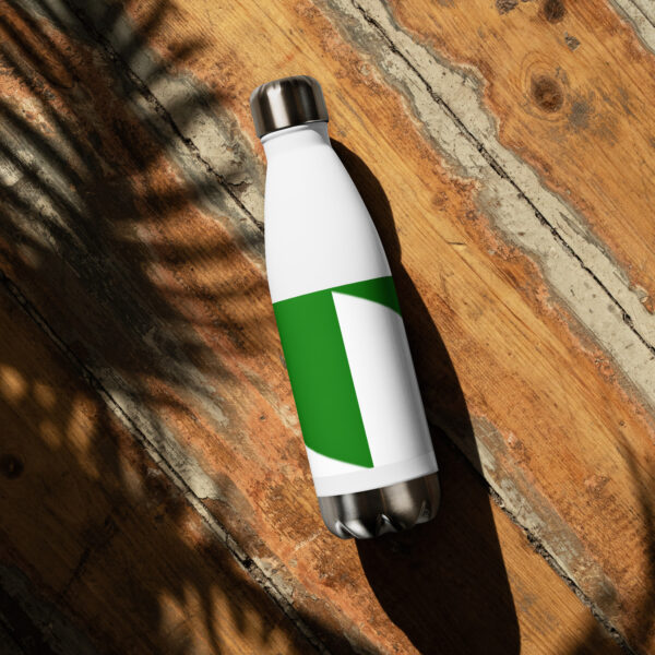 Stainless steel water bottle